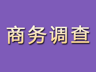 武宣商务调查